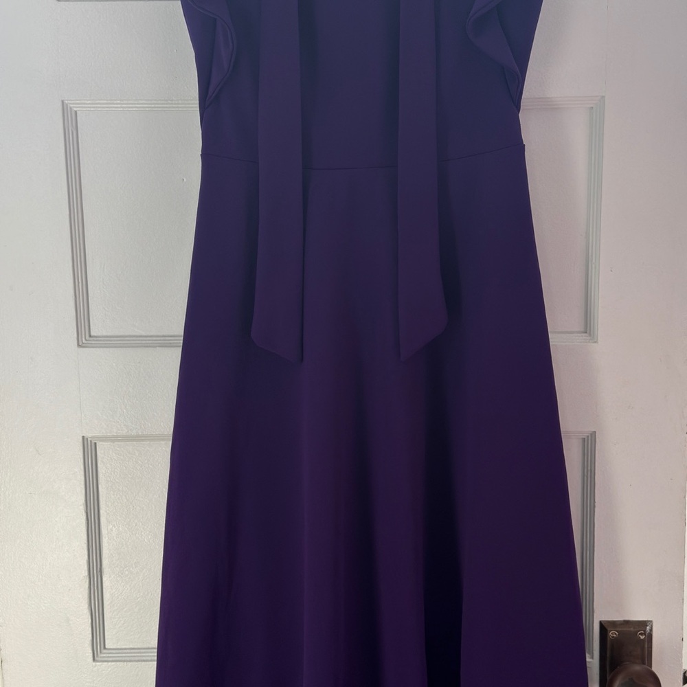 Elegant Purple Women's Dress